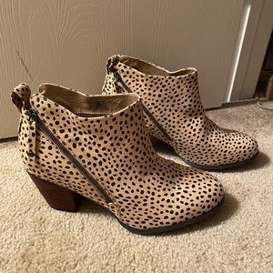 Torrid Booties